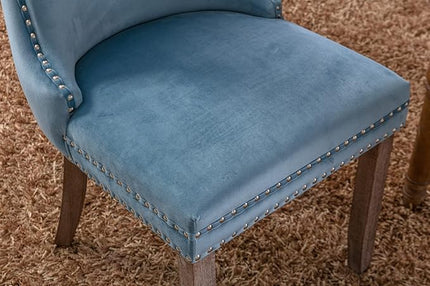 NicBex Haerin-SD-00119-LWJ Dining Chairs, 27.4"x20.4"x37.4", Light Blue - LeafyLoom