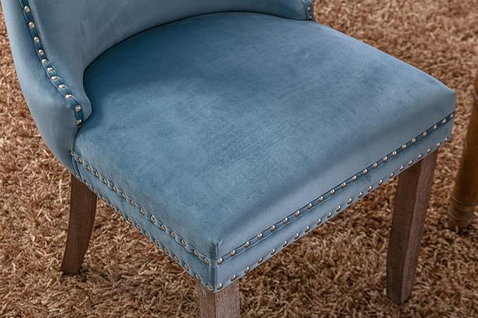 NicBex Haerin-SD-00119-LWJ Dining Chairs, 27.4"x20.4"x37.4", Light Blue - LeafyLoom