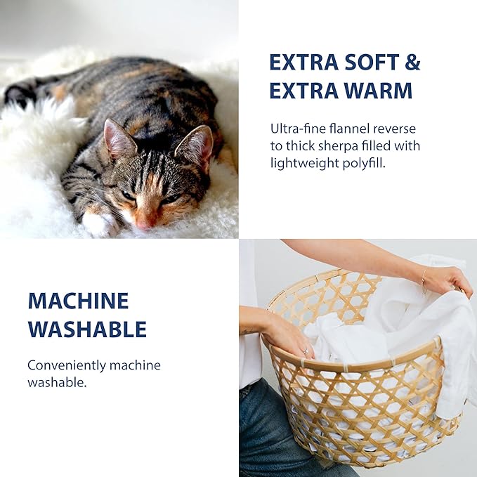 Cathay Home Twin Comforter Set: Ultra Soft and Plush Reversible Micromink and Sherpa Bedding Set, Camel, Twin (66" x 86"), 2-Piece - LeafyLoom