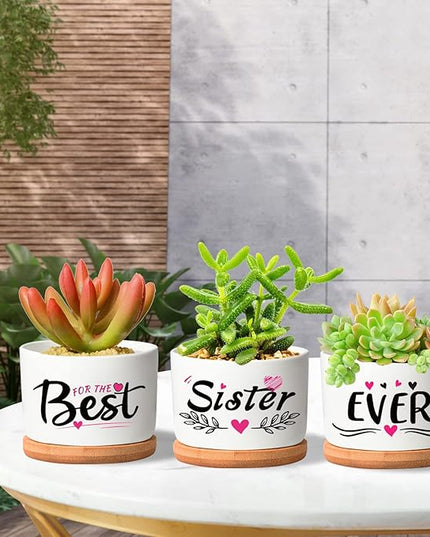 Mothers Day Sisters Gifts for Sister, Gifts for Sister from Brother Sister Birthday Gifts, Soul Sister Gifts for Women Sister in Law Gifts, Best Sister Ever Succulent Pots - LeafyLoom