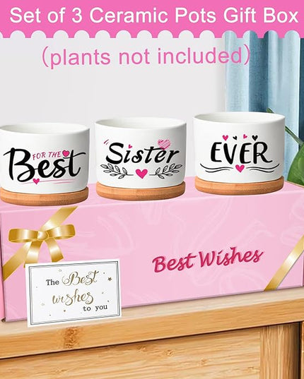 Mothers Day Sisters Gifts for Sister, Gifts for Sister from Brother Sister Birthday Gifts, Soul Sister Gifts for Women Sister in Law Gifts, Best Sister Ever Succulent Pots - LeafyLoom