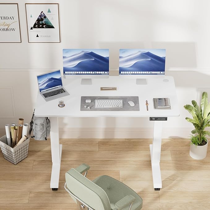 Electric Standing Desk 48 Inch, Ergonomic Height Adjustable Table with T-Shaped Metal Bracket Modern Computer Workstations for Home Office, White, 48 x 24 Inch - LeafyLoom