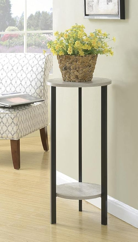 Convenience Concepts Graystone 31" Plant Stand, Faux Birch / Black - LeafyLoom