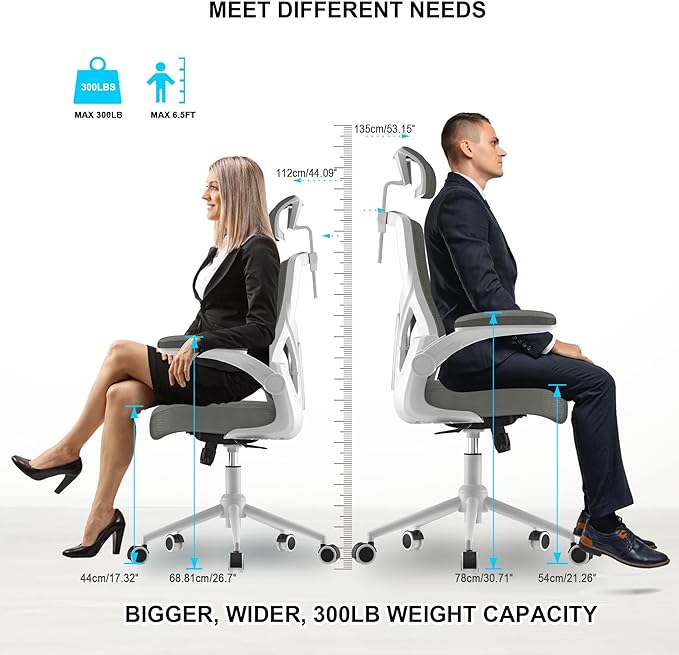 𝑯𝑶𝑴𝑬 𝑶𝑭𝑭𝑰𝑪𝑬 𝑪𝑯𝑨𝑰𝑹, Ergonomic Mesh Desk Chair, High Back Computer Chair- Adjustable Headrest with Flip-Up Arms, Lumbar Support, Swivel Executive Task Chair (Modern, Star Dust) - LeafyLoom