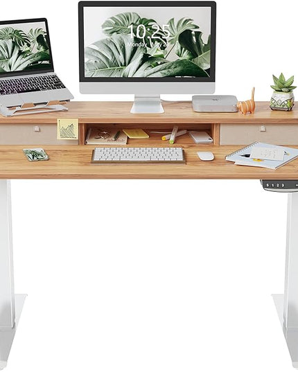 FEZIBO 48 x 24 Inch Height Adjustable Electric Standing Desk with Double Drawer, Stand Up Desk with Storage Shelf, Sit Stand Desk, Light Rustic - LeafyLoom