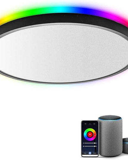 TALOYA Smart Ceiling Light Flush Mount LED WiFi, Compatible with Alexa Google Home, Black Dimmable Low Profile Ambient Light Fixture for Bedroom Living Room,12 Inch 24W Taloya