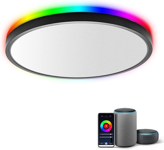 TALOYA Smart Ceiling Light Flush Mount LED WiFi, Compatible with Alexa Google Home, Black Dimmable Low Profile Ambient Light Fixture for Bedroom Living Room,12 Inch 24W Taloya