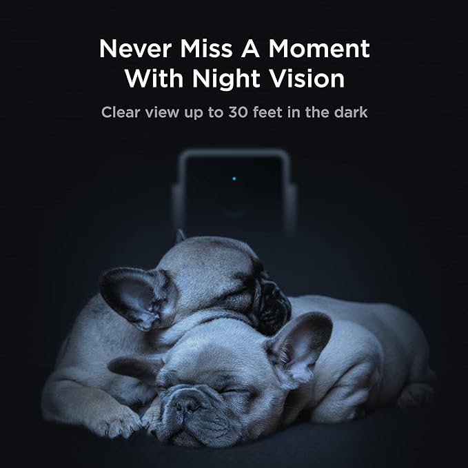 Petcube Cam | Indoor Wi-Fi Pet and Security Camera with Phone App, Pet Monitor with 2-Way Audio and Video, Night Vision, 1080p HD Video and Smart Alerts for Ultimate Home Security Petcube
