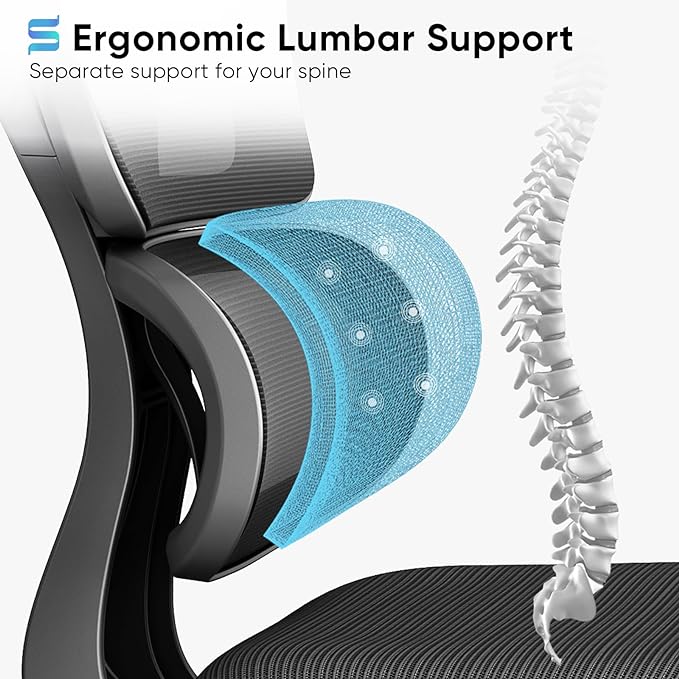 Sytas Ergonomic Office Chair, High Back Mesh Desk Chair with Lumbar Support and Adjustable Headrest, Executive Swivel Computer Chair for Home Office, Tilt Function, Black - LeafyLoom