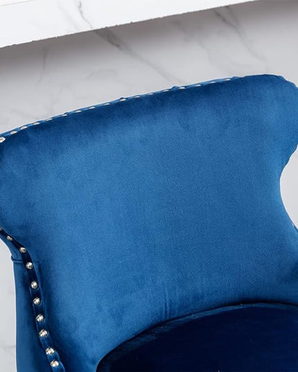 NicBex Haerin-SD-00377-LWJ Dining Chairs, 22"x19"x37", Blue - LeafyLoom