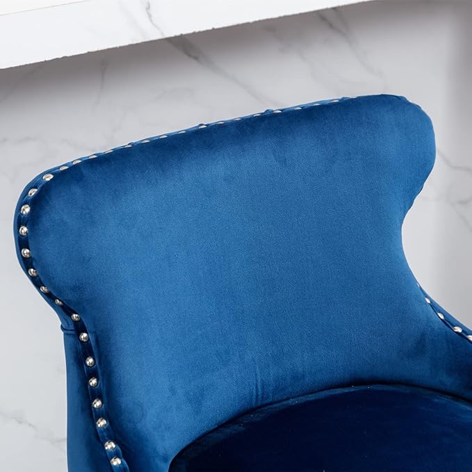 NicBex Haerin-SD-00377-LWJ Dining Chairs, 22"x19"x37", Blue - LeafyLoom