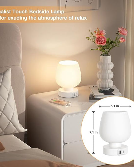 Kakanuo Bedside Table Lamp with Glass Shade, Touch Control, Dual USB A+C Charging Ports, Nightstand Lamp, 3-Way Dimmable, Bulb Included - LeafyLoom
