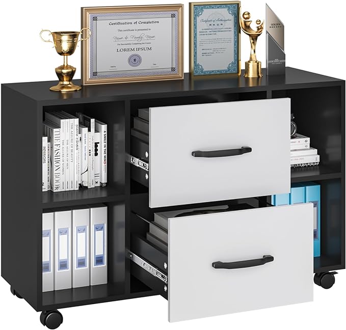 sogesfurniture Mobile Lateral Filing Cabinet with 2 Drawers,Lateral Office Cabinet Printer Stand, Multifunctional Storage Cabinet with Open Shelves and Castors for Home & Office (Black) - LeafyLoom