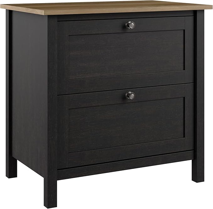 Bush Furniture Mayfield 2 Drawer Lateral File Cabinet in Vintage Black and Reclaimed Pine | Storage for Home Office Workspace - LeafyLoom
