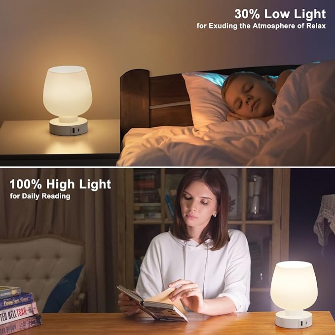 Kakanuo Bedside Table Lamp with Glass Shade, Touch Control, Dual USB A+C Charging Ports, Nightstand Lamp, 3-Way Dimmable, Bulb Included - LeafyLoom