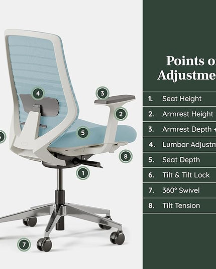 Branch Ergonomic Chair - A Versatile Desk Chair with Adjustable Lumbar Support, Breathable Mesh Backrest, and Smooth Wheels - Experience Optimal Comfort and Support - Light Blue - LeafyLoom