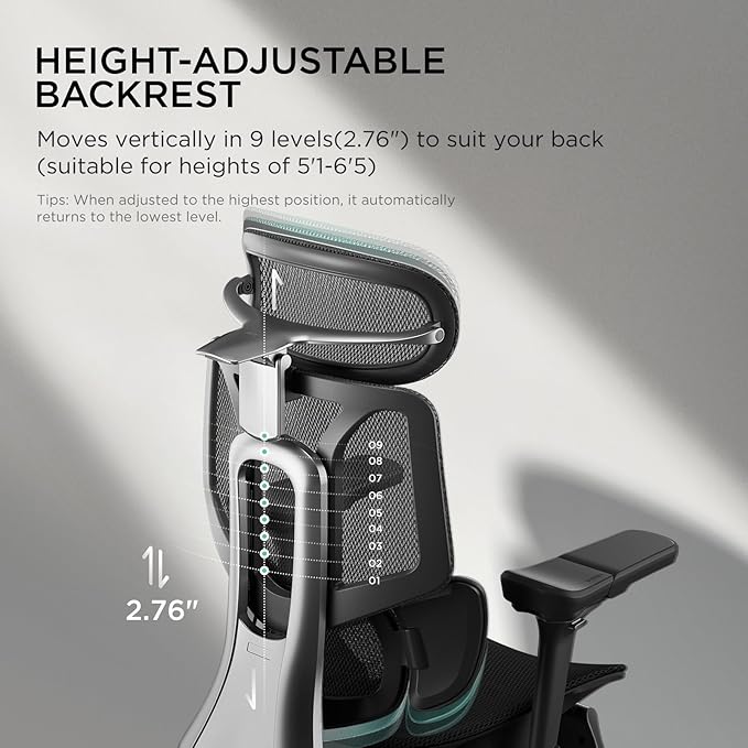 Hbada E3 Ergonomic Office Chair, Big and Tall Office Chair - with 3-Zone Dynamic Lumbar Support, 4D Adjustable Headrest, 6D Adjustable Armrests, Swivel Computer Chair for Home Office, Black - LeafyLoom