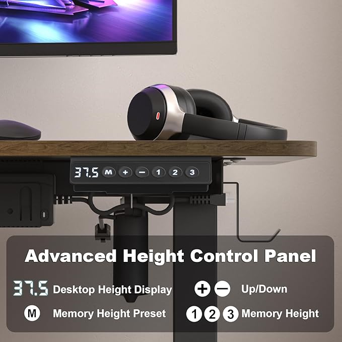 Electric Standing Desk Height Adjustable - 48 x 24 Inches Sit Stand up Desk & Memory Preset Ergonomic Rising Desks for Work, Home Office Workstation Gaming Rising Desk Study Table - LeafyLoom