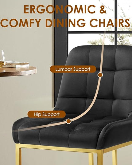 STARY Upholstered Velvet Armless Dining Room Chairs with Gold Metal Legs for Kitchen Restaurant, Black- Set of 4 - LeafyLoom