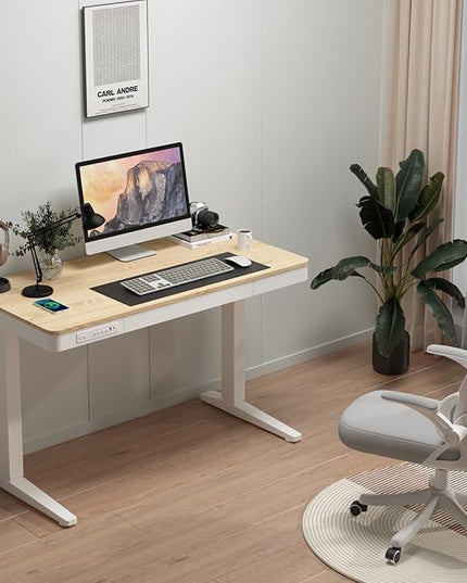 Standing Desk with Drawer and Wireless Charging,48x24 inch Dual Motor Standing Desk, Sit Stand Desk with Whole-Piece Desktop,Stand Up Desk for Home Office(White Oval Legs + Bamboo Top) - LeafyLoom