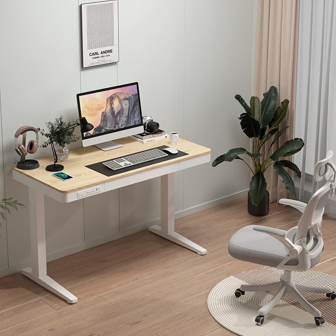 Standing Desk with Drawer and Wireless Charging,48x24 inch Dual Motor Standing Desk, Sit Stand Desk with Whole-Piece Desktop,Stand Up Desk for Home Office(White Oval Legs + Bamboo Top) - LeafyLoom