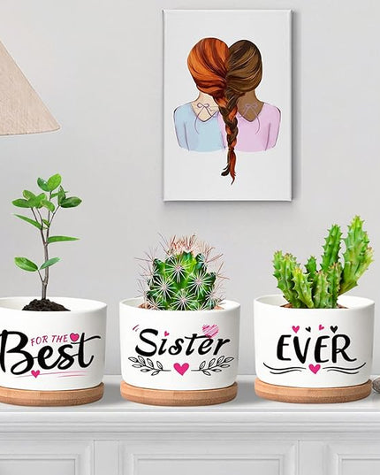 Mothers Day Sisters Gifts for Sister, Gifts for Sister from Brother Sister Birthday Gifts, Soul Sister Gifts for Women Sister in Law Gifts, Best Sister Ever Succulent Pots - LeafyLoom