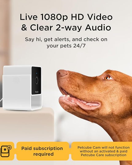 Petcube Cam and Care Coverage Subscription | Indoor Wi-Fi Pet and Security Camera with Phone App, Cats and Dogs Monitor with 2-Way Audio and Video, Night Vision Petcube