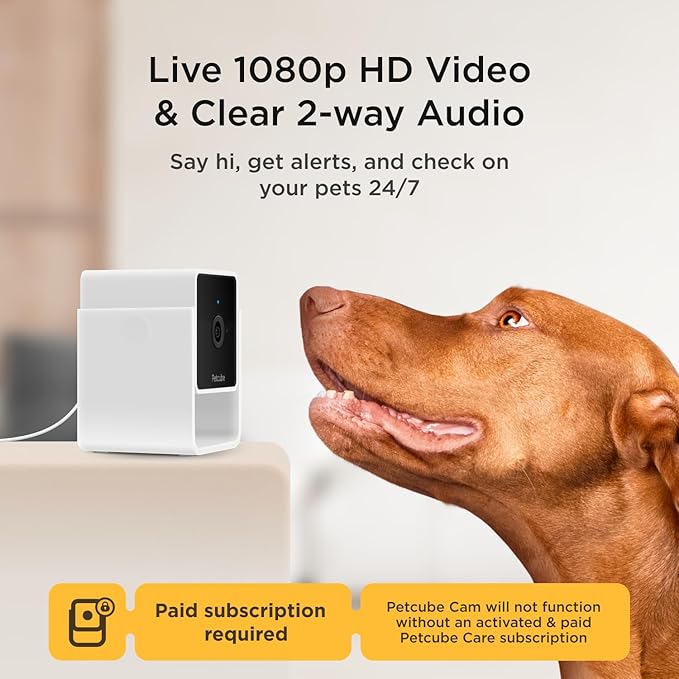 Petcube Cam and Care Coverage Subscription | Indoor Wi-Fi Pet and Security Camera with Phone App, Cats and Dogs Monitor with 2-Way Audio and Video, Night Vision Petcube