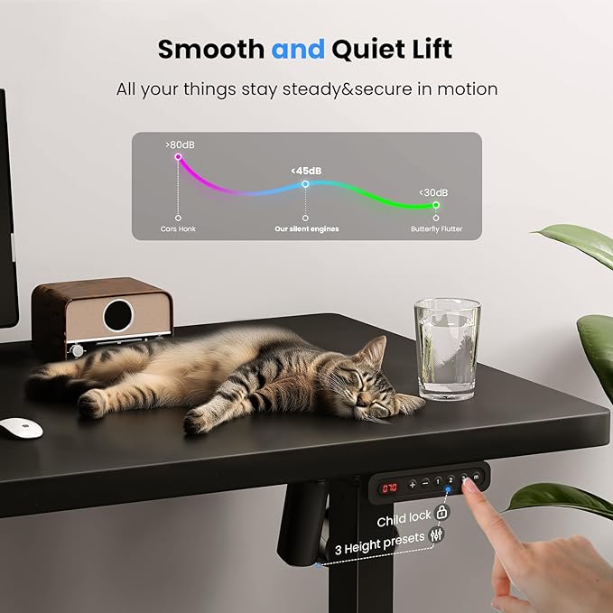 Electric Standing Desk Adjustable - 48 x 24 Inch Sit Stand up Desk with Cable Management - 3 Memory Preset Adjustable Height Desk Computer Home Office Desk - LeafyLoom