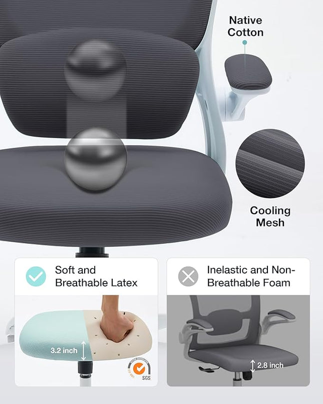 Ergonomic Office Chair with Tilt-Lock, Home Office Desk Chair with Auto Lumbar Support, High Back Mesh Desk Chair with Adjustable Headrest, Swivel Task Chair or Study Room Bedroom,Dark Gray - LeafyLoom