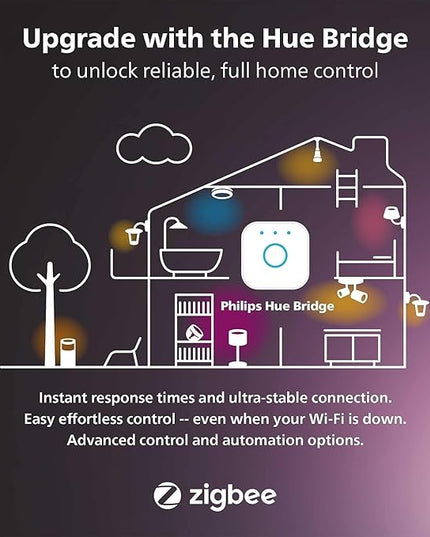 Philips Hue Lily Outdoor Smart Spot Light - White & Color Ambiance LED Walkway Lights - Low Voltage Lighting - 1 Pack - Requires Bridge and Power Supply - Control with App and Voice - Weatherproof PhilipsHue