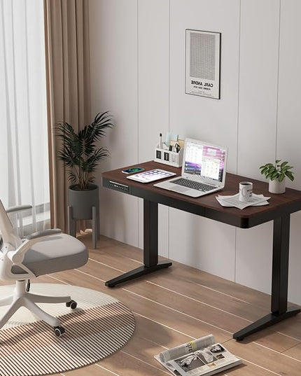 Standing Desk with Drawer and Wireless Charging,48x24 inch Dual Motor Electric Standing Desk,Stand Up Desk with Whole-Piece Desktop(Black Oval Legs+Rustic Brown Top) - LeafyLoom