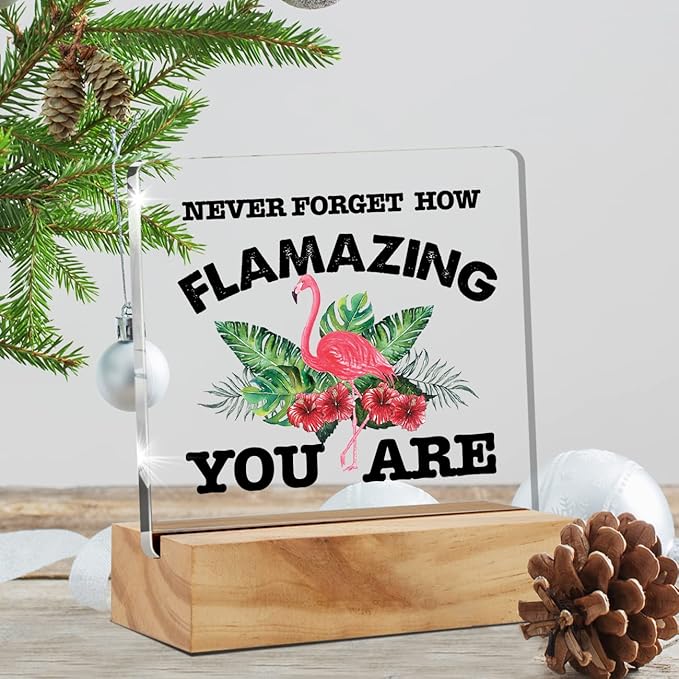 Motivational Flamingo Acrylic Desk Sign Decoration Plaque Never Forget How Flamazing You are Desk Sign Keepsake Home Office Room Desk Decor - LeafyLoom