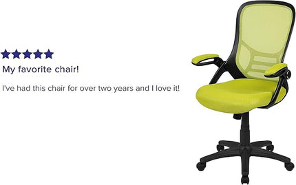 Flash Furniture Porter Mesh High Back Ergonomic Swivel Office Chair with Lumbar Support, Flip-Up Arms, Tilt Lock/Tilt Tension, Height Adjustable, Black/Green Frame - LeafyLoom