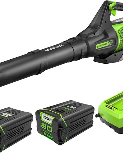 Greenworks Pro 80V (145 MPH / 580 CFM) Brushless Cordless Axial Leaf Blower, 2.5Ah Battery and Charger Included BL80L2510 & PRO 80V 2.0Ah Lithium-Ion Battery (Genuine Battery) - LeafyLoom