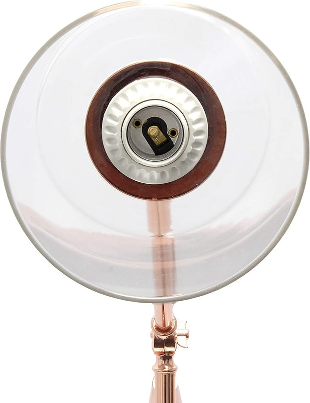 Elegant Designs LF1030-RGD Pivot Arm Glass Shade Floor Lamp, Rose Gold - LeafyLoom
