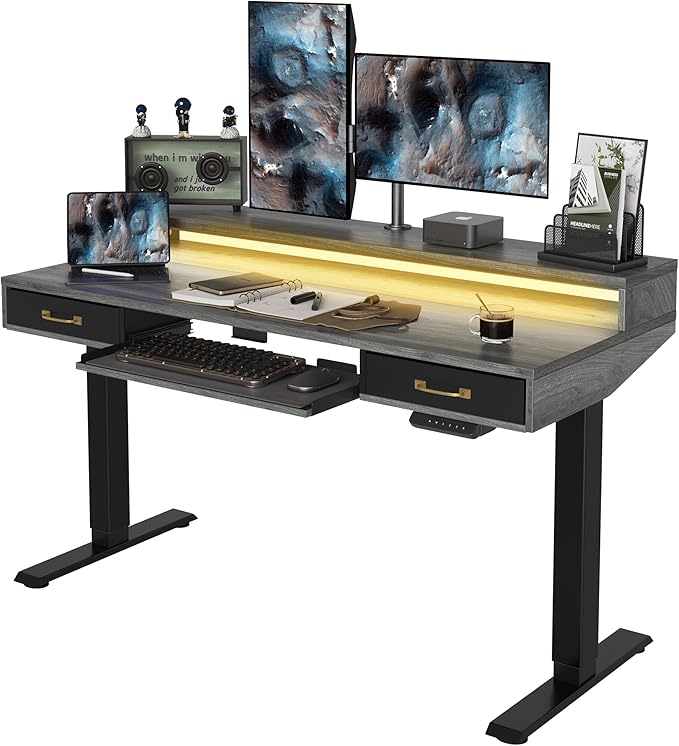 FEZIBO 55 x 25 Inch Height Adjustable Electric Standing Desk with Double Drawers&Keyboard Tray, Stand Up Desk with LED Strips, Sit Stand Desk with Monitor Stand, Rustic Grey - LeafyLoom
