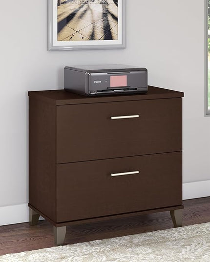 Bush Furniture Somerset 2 Drawer Lateral File Cabinet in Mocha Cherry - LeafyLoom