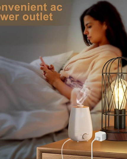 Industrial Table Lamp, Small Touch Control Edison Desk Lamp 3 Way Dimmable Vintage Bedside Lamp with AC Outlet Metal Cage Steampunk Nightstand Lamp for Living Room, Bedroom or Den - LeafyLoom