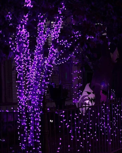 Dazzle Bright 2 Pack Halloween Fairy String Lights, Total 80FT 240 LED Solar Powered Fairy Lights with 8 Modes, Waterproof Copper Wire Lights for Outdoor Christmas Yard Party Patio (Purple) DazzleBright