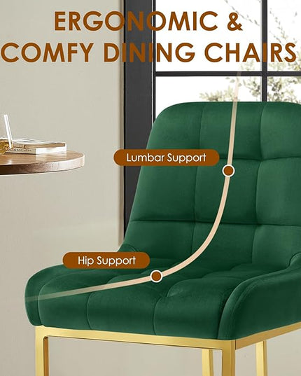 STARY Upholstered Velvet Armless Dining Room Chairs with Gold Metal Legs for Kitchen Restaurant, Green- Set of 4 - LeafyLoom