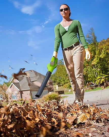 Leaf Blower Cordless with 20V 2.0Ah Battery and Fast Charger, Battery Powered Electric Leaf Blower for Lawn Care - LeafyLoom