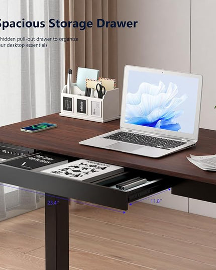 Standing Desk with Drawer and Wireless Charging,48x24 inch Dual Motor Electric Standing Desk,Stand Up Desk with Whole-Piece Desktop(Black Oval Legs+Rustic Brown Top) - LeafyLoom