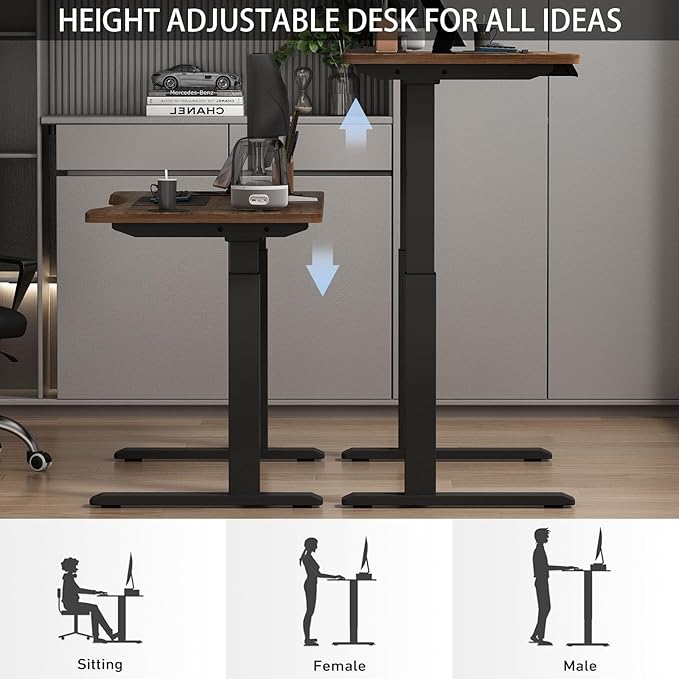 Dual Motor Height Adjustable Electric Standing Desk, 48x24 Inches Electric Standing Desk with Curved Design and 4 Memory Keys, Sit and Stand Home Office Desk with Whole-Piece Desktop - LeafyLoom