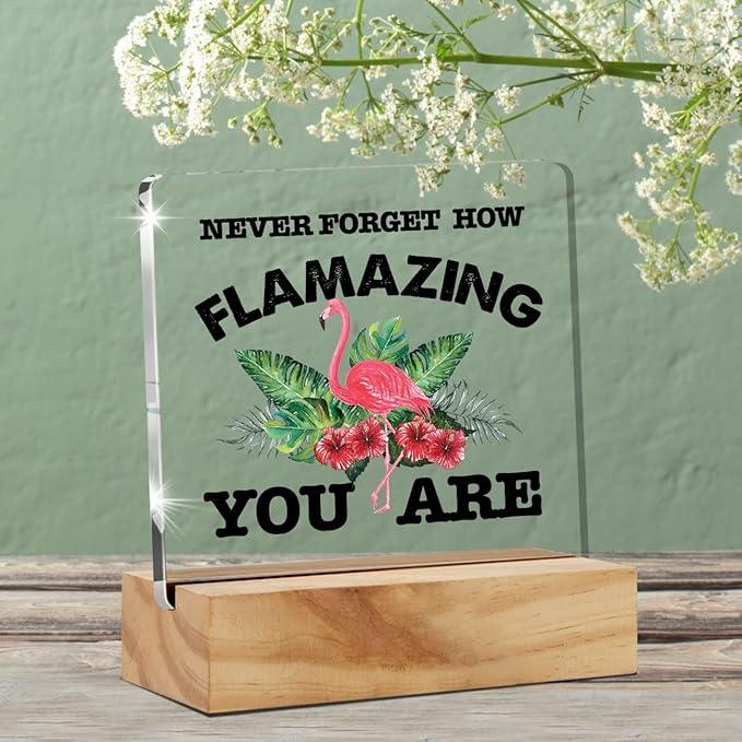 Motivational Flamingo Acrylic Desk Sign Decoration Plaque Never Forget How Flamazing You are Desk Sign Keepsake Home Office Room Desk Decor - LeafyLoom