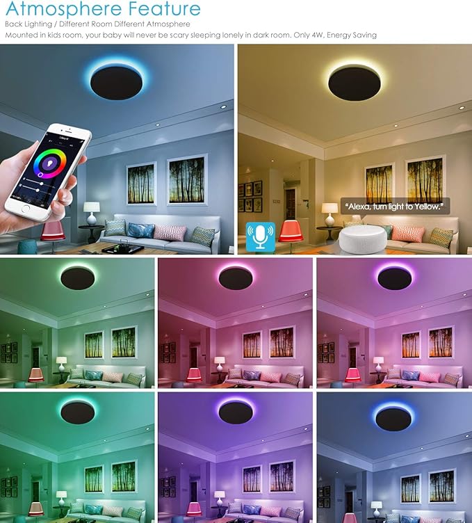 TALOYA Alexa Ceiling Light Smart, WiFi, Compatible with Google, 15.8 Inch Modern Dimmable Flush Mount LED Light Fixture for Living Room Office Kitchen, 28W RGBW Taloya