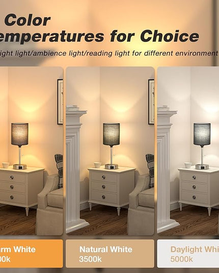 Dicoool Black Table Lamp for Bedroom - 3 Color Temperature Bedside Lamp with USB C and A Ports, Pull Chain Lamp for Bedroom with AC Outlet, Nightstand Lamp with Silver Metal Base for Kids Boys - LeafyLoom