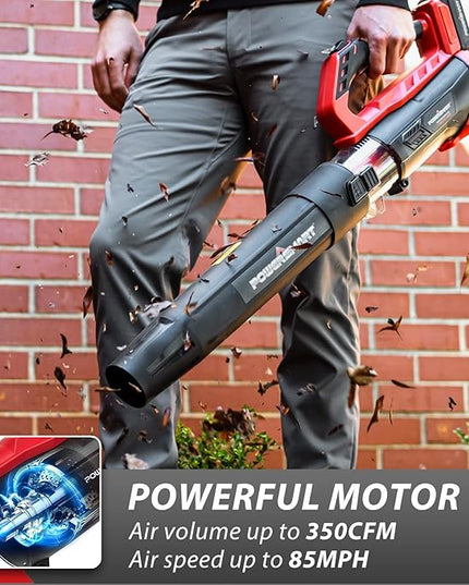 PowerSmart 20V Cordless Leaf Blower with 2 Batteries and Charger, Blowers for Lawn Care, Snow Blowing & Yard Cleaning - LeafyLoom