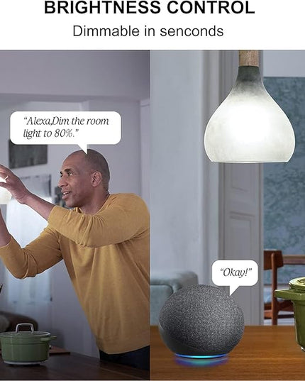 Sengled Alexa WiFi Light Bulb - Smart Bulbs That Work with Alexa/Google Assistant, A19 Daylight (5000K) - No Hub Required, 800LM 60W High CRI)60 Equivalent, 4 Count (Pack of 1) Sengled