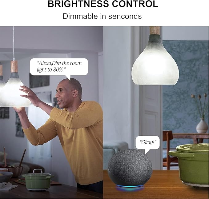 Sengled Alexa WiFi Light Bulb - Smart Bulbs That Work with Alexa/Google Assistant, A19 Daylight (5000K) - No Hub Required, 800LM 60W High CRI)60 Equivalent, 4 Count (Pack of 1) Sengled